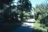 Golden Gate Park park path