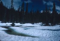 Rainy Pass pond