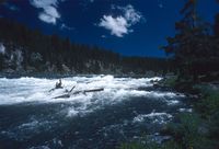 Yellowstone River